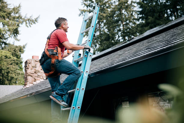 Best Roof Insulation Installation  in Cottonport, LA